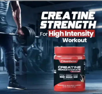 muscle strength supplement